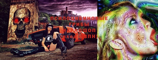 дурь Верхний Тагил