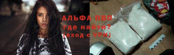 эйфоретик Бородино