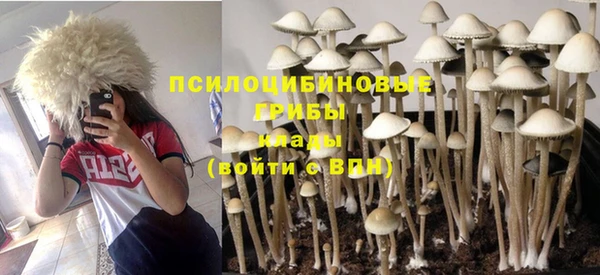 дурь Верхний Тагил