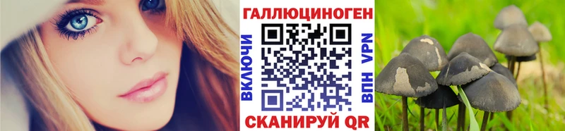 купить сайты Новосокольники Псилоцибиновые грибы GOLDEN TEACHER